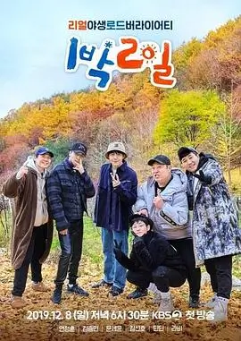 声音的褶皱 音乐纪实综艺高清在线观看